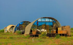 Amanya 2-Rooms Lioness Family