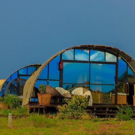 Amanya 2-Rooms Lioness Family Amboseli Extérieur photo