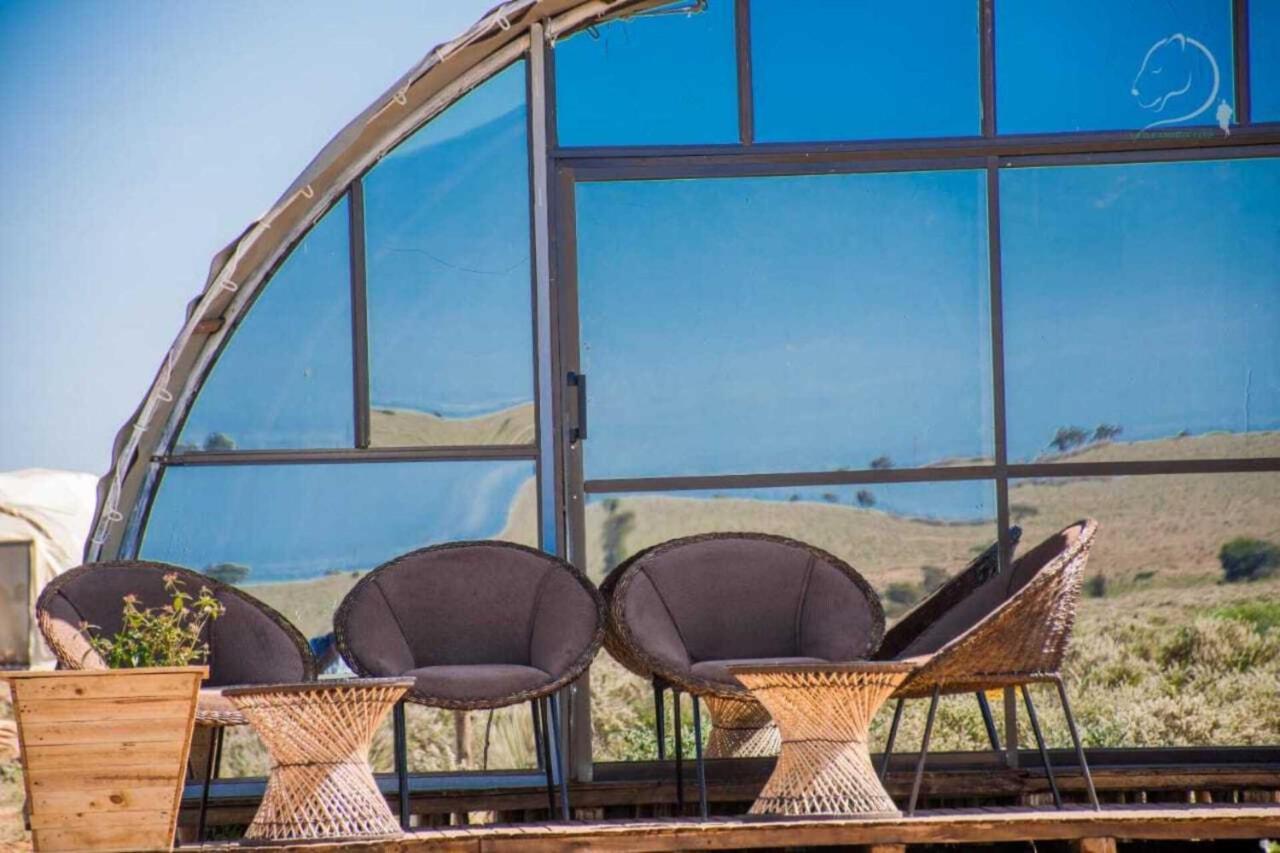 Amanya 2-Rooms Lioness Family Amboseli Extérieur photo