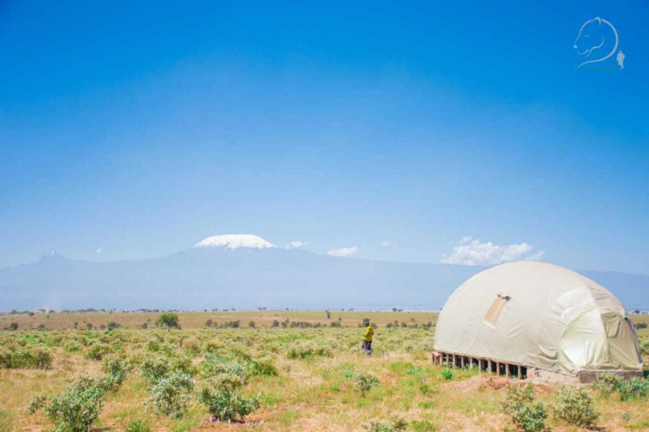 Amanya 2-Rooms Lioness Family Amboseli Extérieur photo