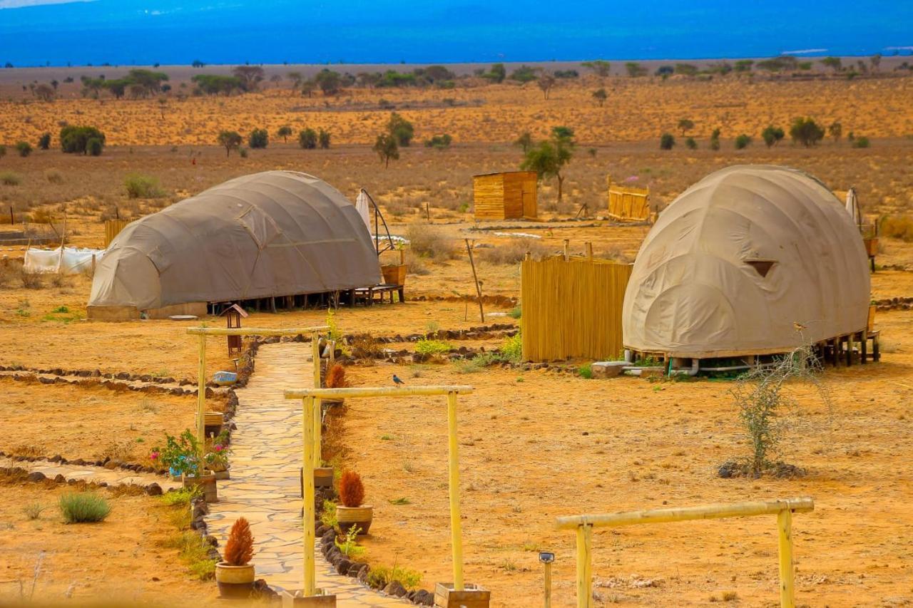 Amanya 2-Rooms Lioness Family Amboseli Extérieur photo