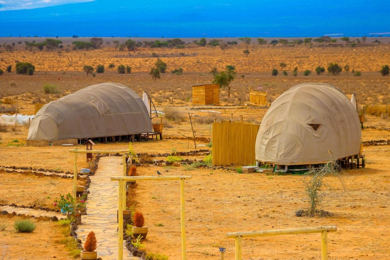 Amanya 2-Rooms Lioness Family Amboseli Extérieur photo
