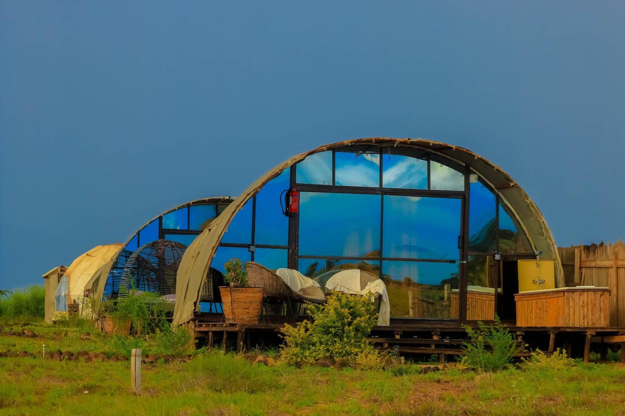 Amanya 2-Rooms Lioness Family Amboseli Extérieur photo
